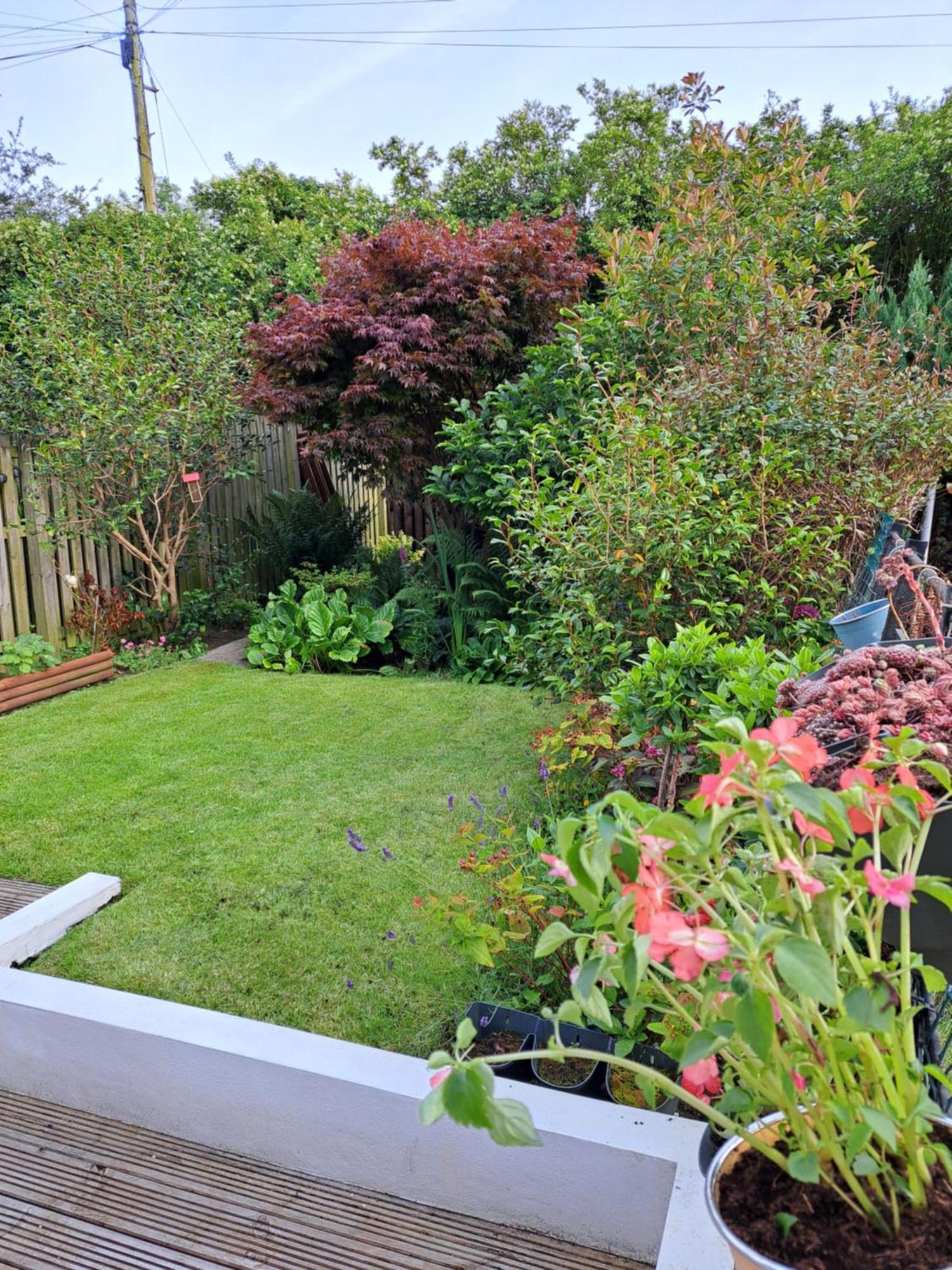 2 Bed House Free Parking Near Murrayfield Stadium Holiday home